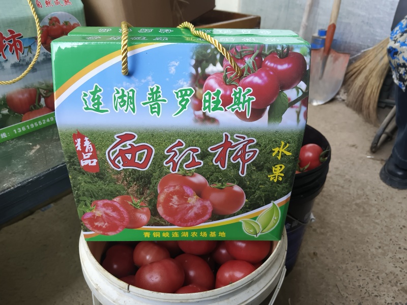 莲湖普罗旺斯水果西红柿