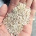黄米厂家直销一选黄米承接加工厂订单酒厂加工饲料量大价格低