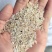 黄米厂家直销一选黄米承接加工厂订单酒厂加工饲料量大价格低