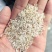 黄米厂家直销一选黄米承接加工厂订单酒厂加工饲料量大价格低