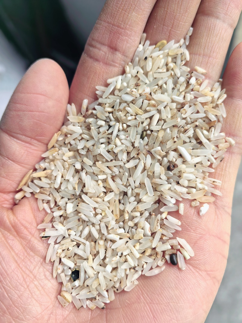 黄米厂家直销一选黄米承接加工厂订单酒厂加工饲料量大价格低