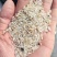 黄米厂家直销一选黄米承接加工厂订单酒厂加工饲料量大价格低