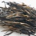 普洱红茶，易武天门山老树红茶