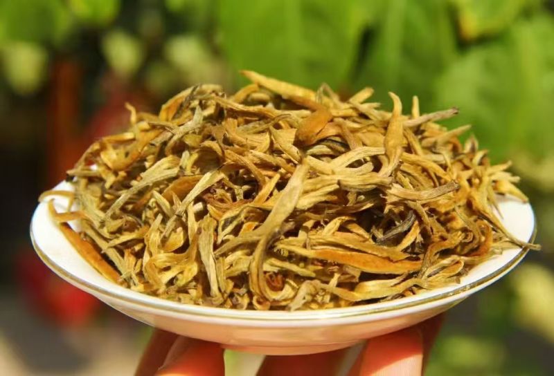 普洱红茶，易武天门山古树金芽