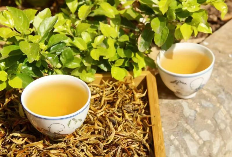 普洱红茶，易武天门山古树金芽