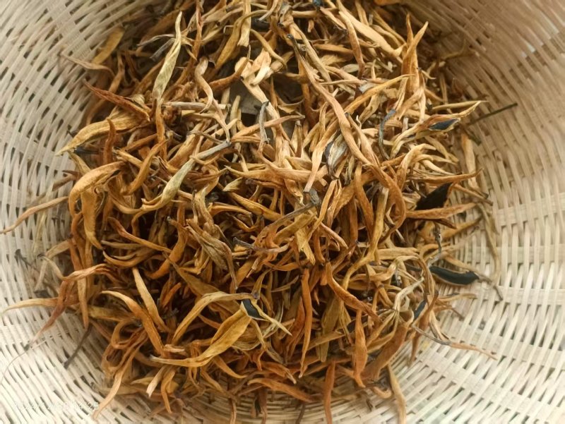 普洱红茶，易武天门山古树金芽