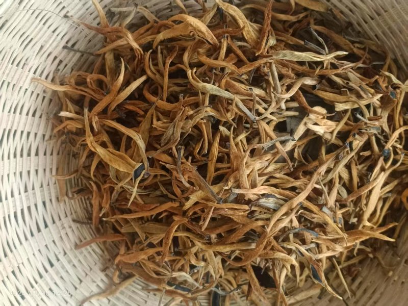 普洱红茶，易武天门山古树金芽