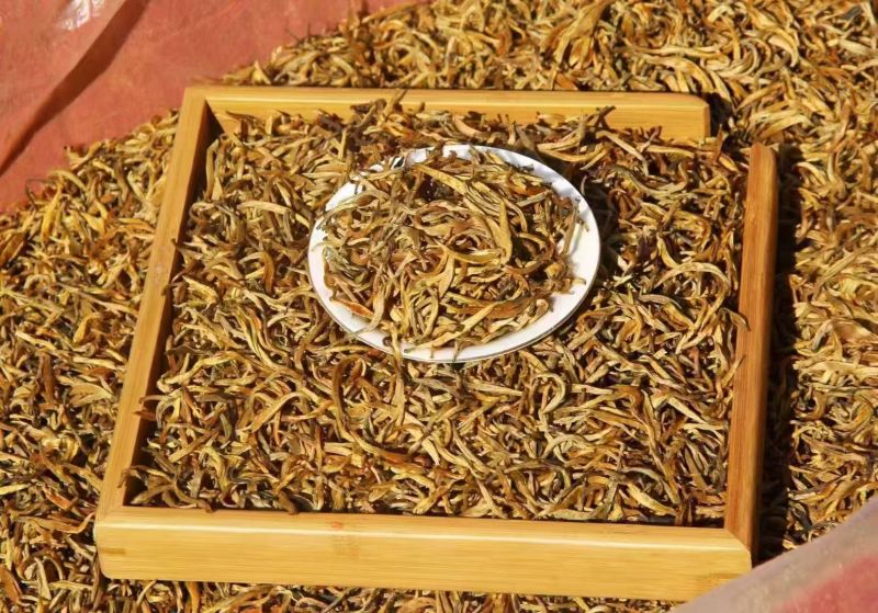 普洱红茶，易武天门山古树金芽