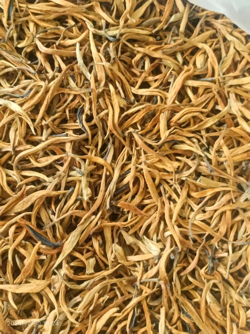 普洱红茶，易武天门山古树金芽