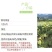 优质黄花菜种苗种植苗*食用金针菜根苗四季可种易种根粗高产