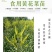 优质黄花菜种苗种植苗*食用金针菜根苗四季可种易种根粗高产