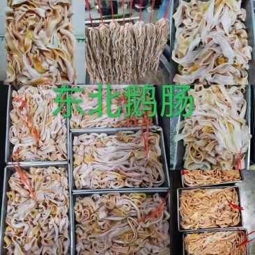东北鹅肠大量供应山东济南产地直发，货源充足，新鲜发货。