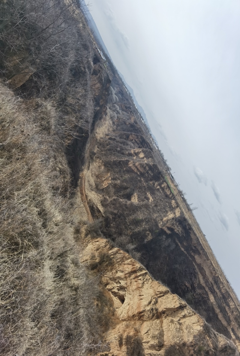 养殖场地出租