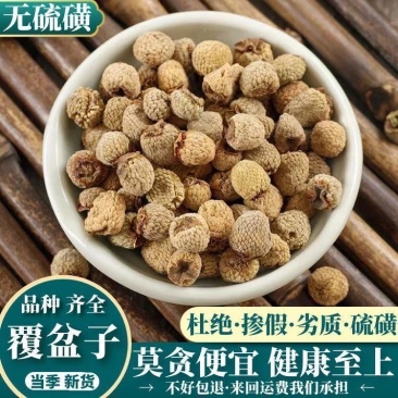 覆盆子中药材新货浙江产地