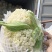 河南有机散花菜白面青梗鲜货全程视频看货基地种植
