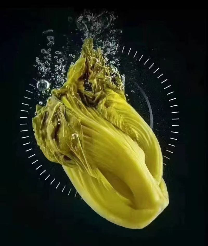 老坛免洗免切酸菜丝泡菜老谭泡菜经济实惠口感好厂家直销