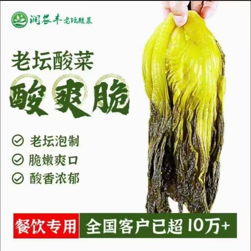 【泡菜】老坛免切酸菜片餐饮专用价格实惠品质保障欢迎电联