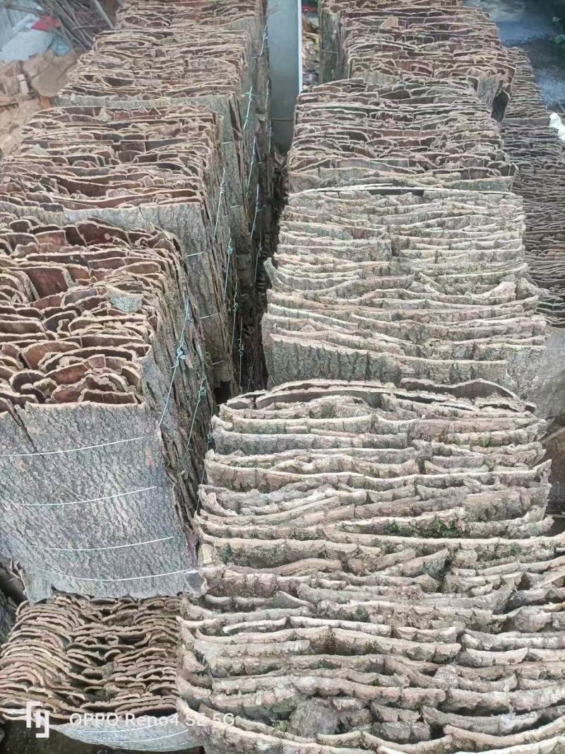 原产地买土茯苓正品放心欢迎联系咨询