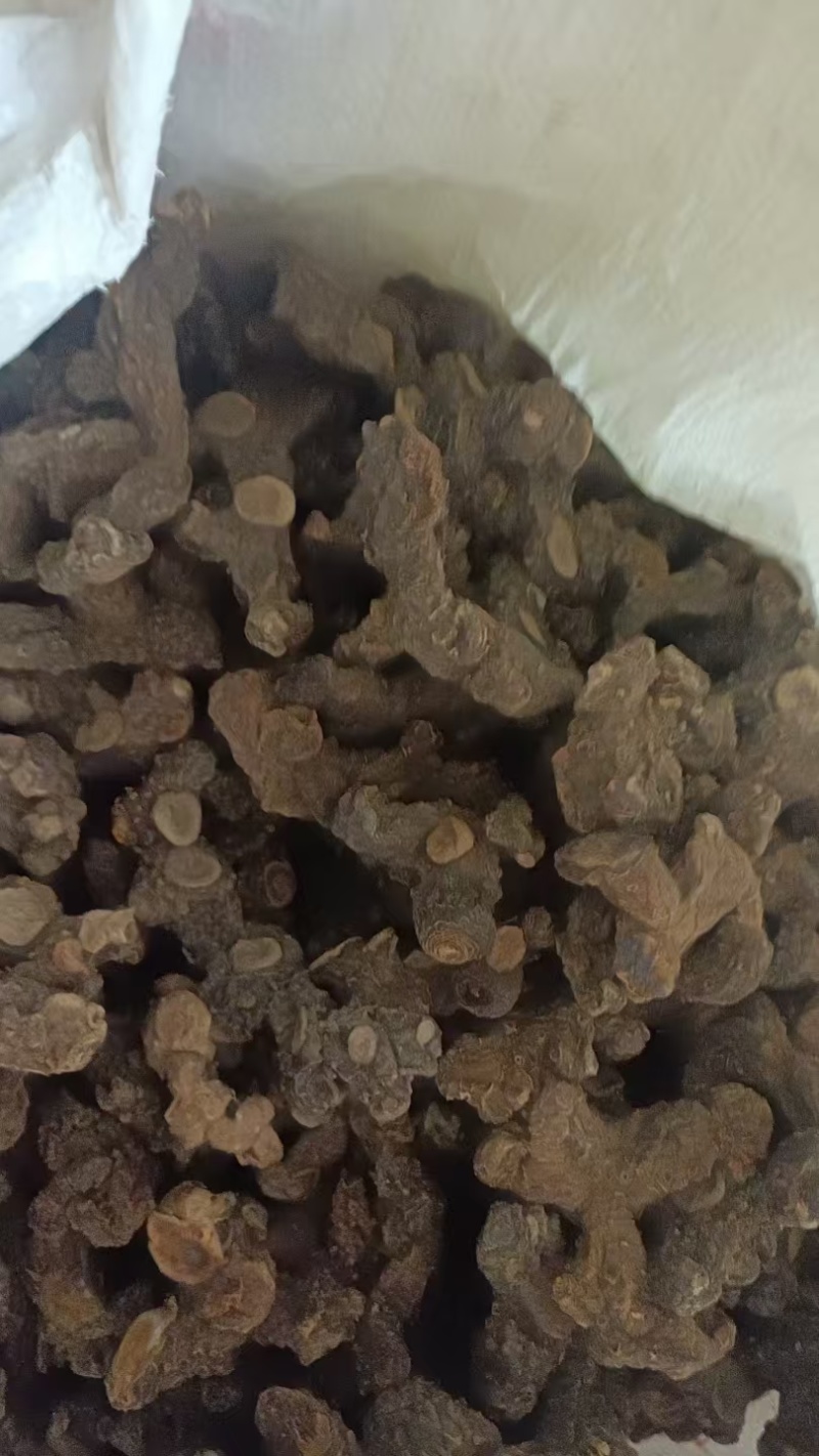 原产地买土茯苓正品放心欢迎联系咨询