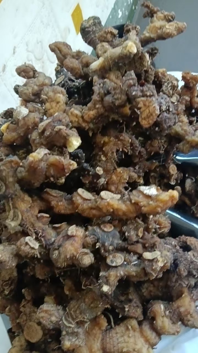 原产地买土茯苓正品放心欢迎联系咨询