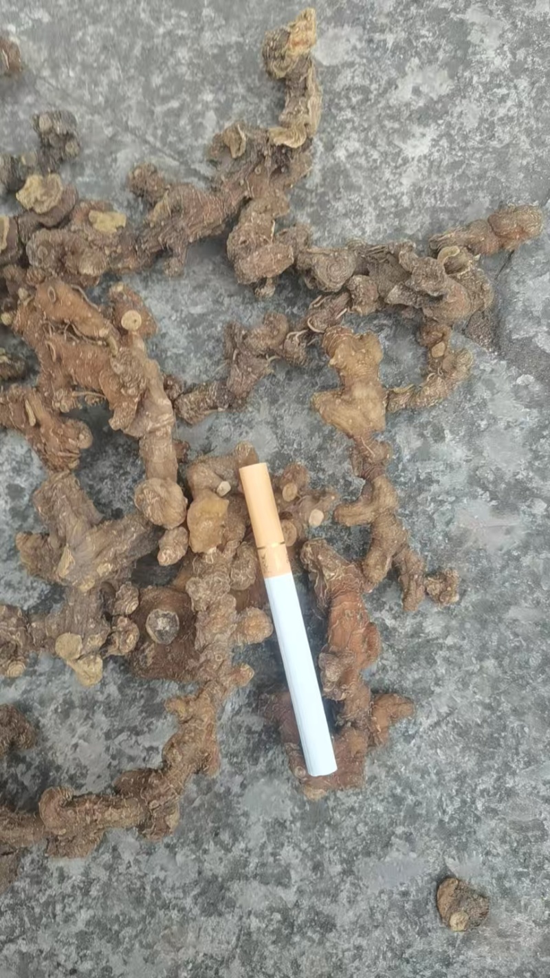 原产地买土茯苓正品放心欢迎联系咨询