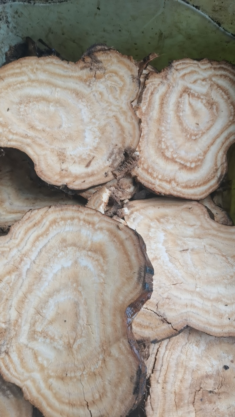 原产地买土茯苓正品放心欢迎联系咨询