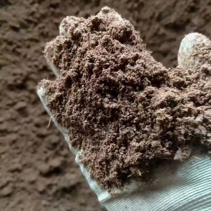 保定有机纯羊粪有机肥广东湛江全年供货