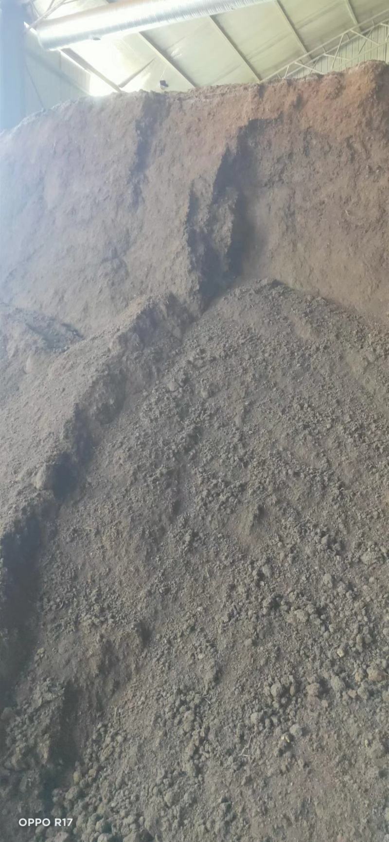 保定有机纯羊粪有机肥广东湛江全年供货