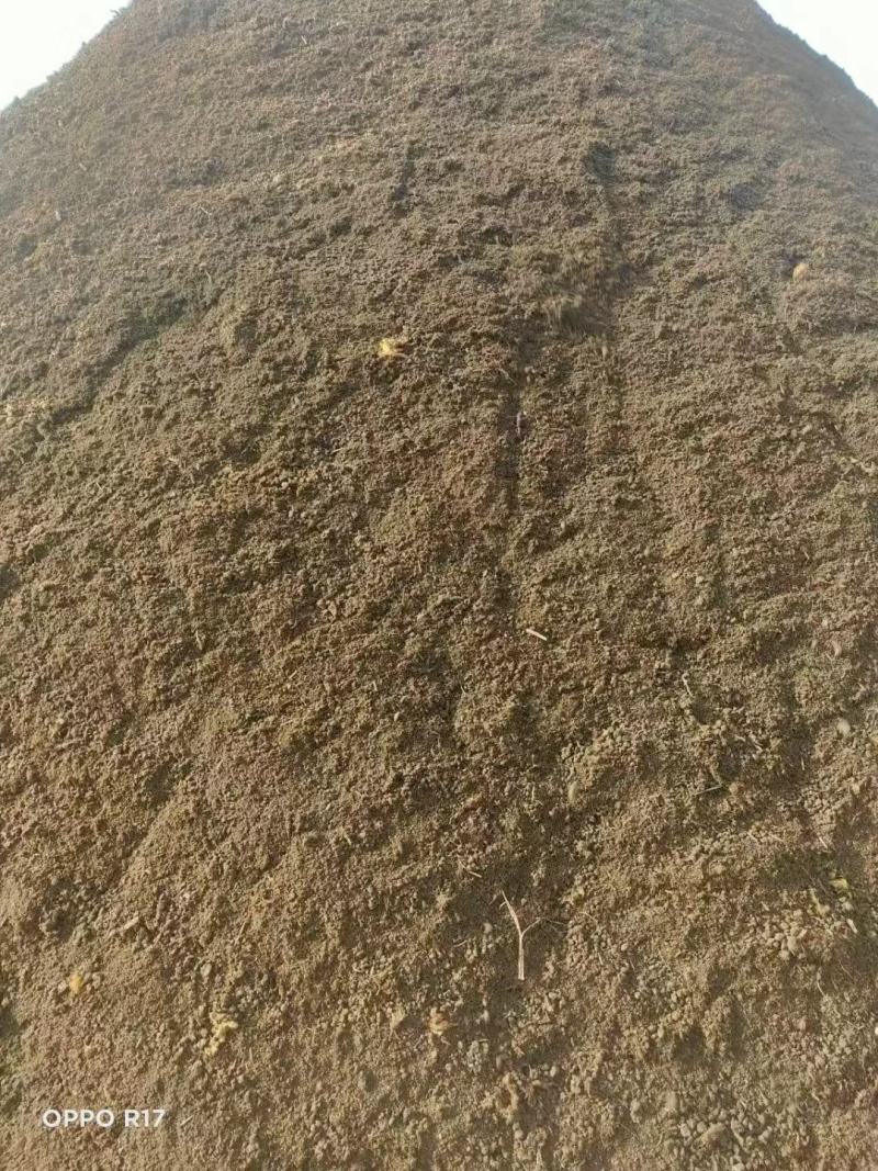 保定有机纯羊粪有机肥广东湛江全年供货