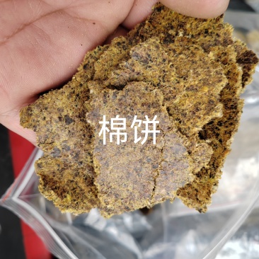 棉籽饼有机肥料适合上地施肥使用不需要二次发酵厂家直