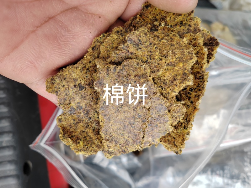 棉籽饼有机肥料适合上地施肥使用不需要二次发酵厂家直