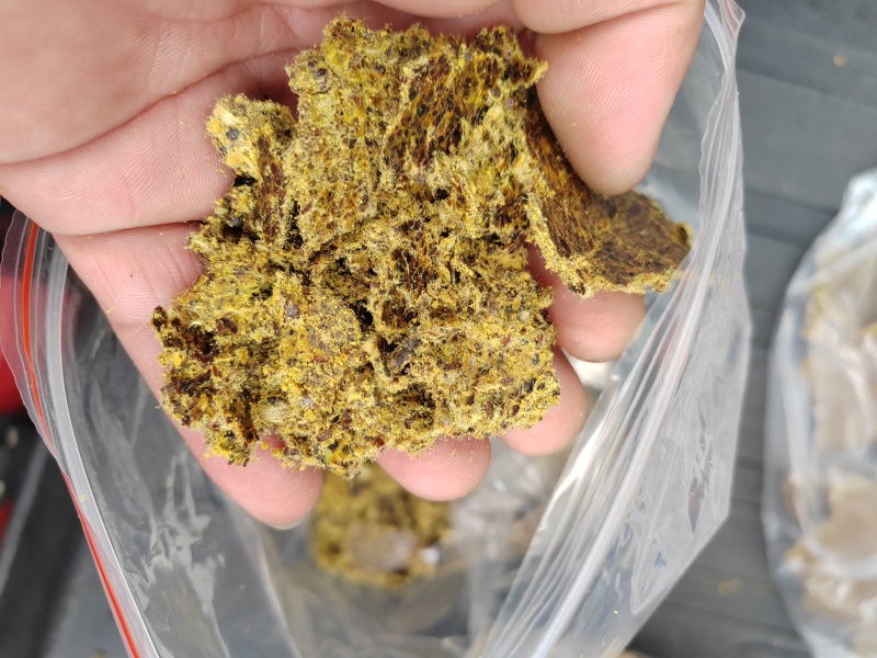 棉籽饼有机肥料适合上地施肥使用不需要二次发酵厂家直