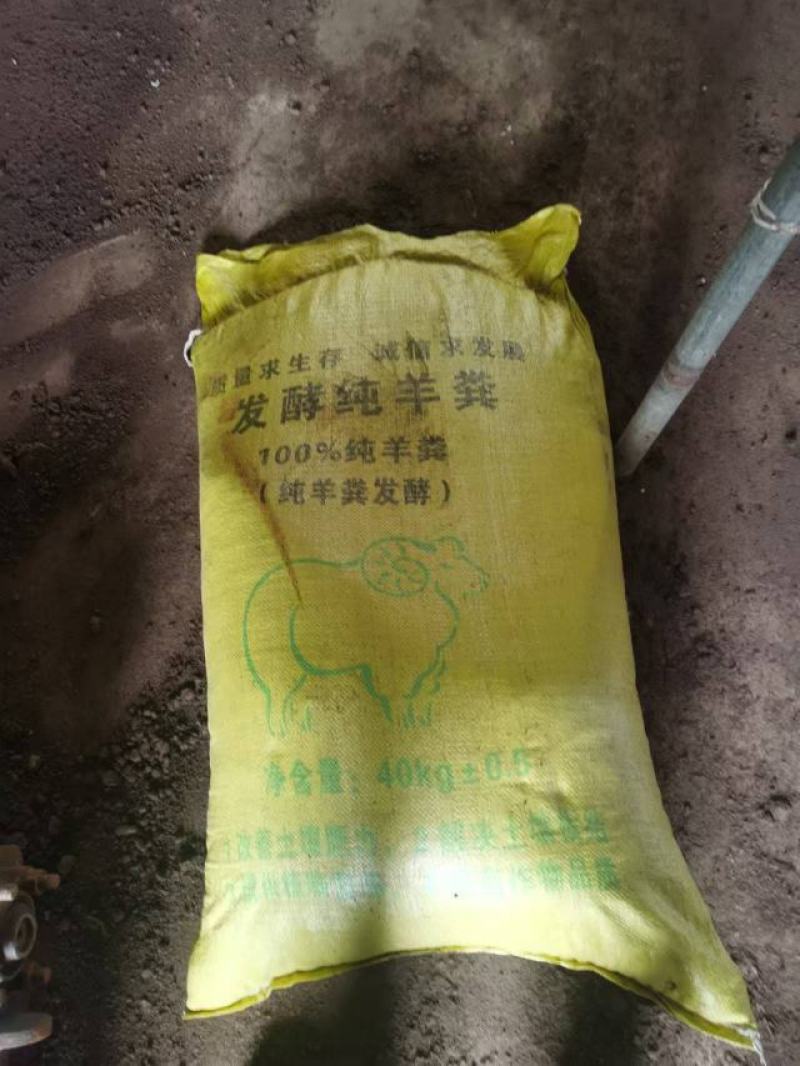 保定有机纯羊粪有机肥广东湛江全年供货