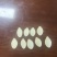南瓜子当年新货一炒二炒拨仁！全国可发对接各大商超