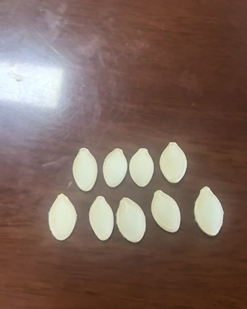 南瓜子当年新货一炒二炒拨仁！全国可发对接各大商超
