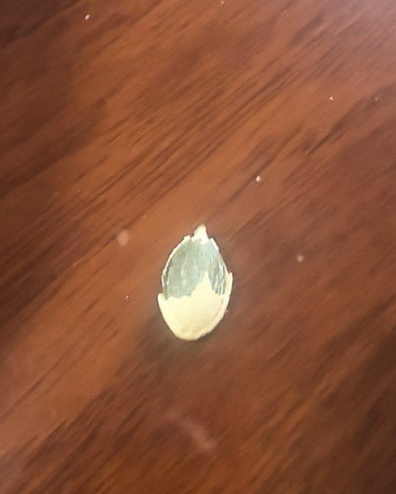 南瓜子当年新货一炒二炒拨仁！全国可发对接各大商超