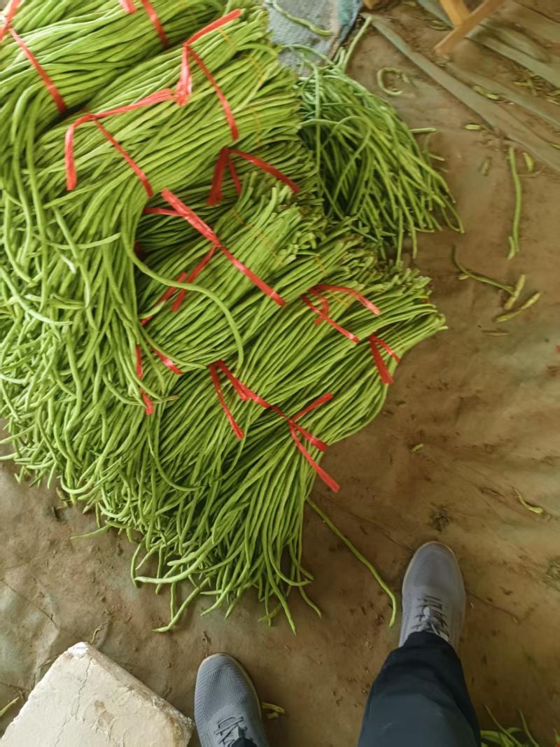 白条长豇豆长豆角产地直发，货源充足一手货接受预订