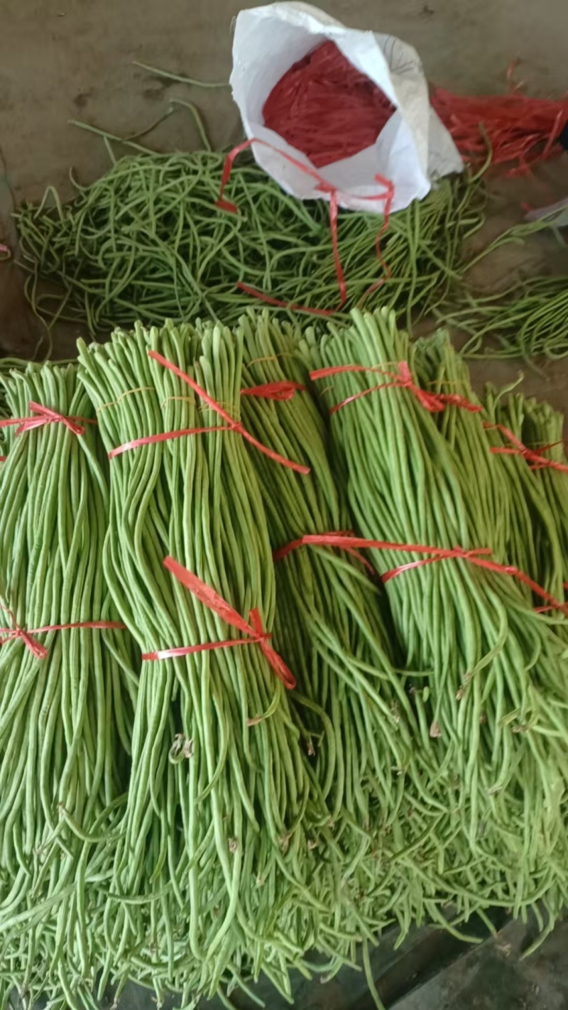 白条长豇豆长豆角产地直发，货源充足一手货接受预订