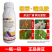 20%联苯噻虫胺小麦蚜虫粉剂蓟马稻飞虱玉米螟二化螟专用杀