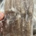 皮皮虾肉