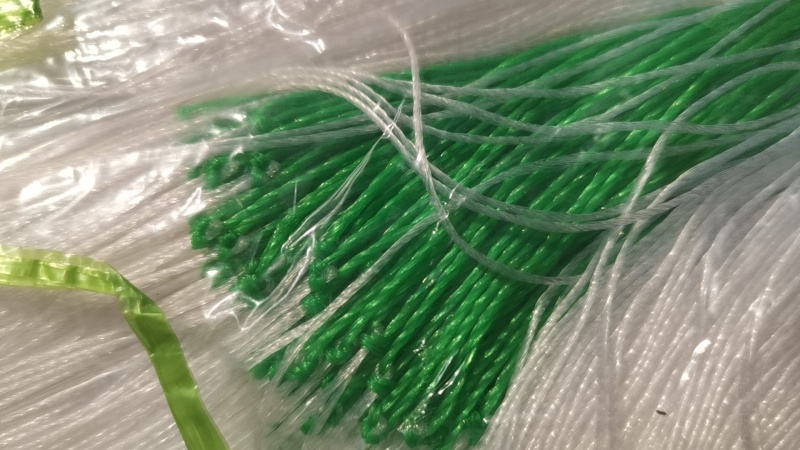 （山药豆角爬藤网）各类豆角爬藤网种植网攀爬网农业用网