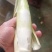浙江美人茭白】按需求分拣打包提供纸箱泡沫箱保鲜袋一件代
