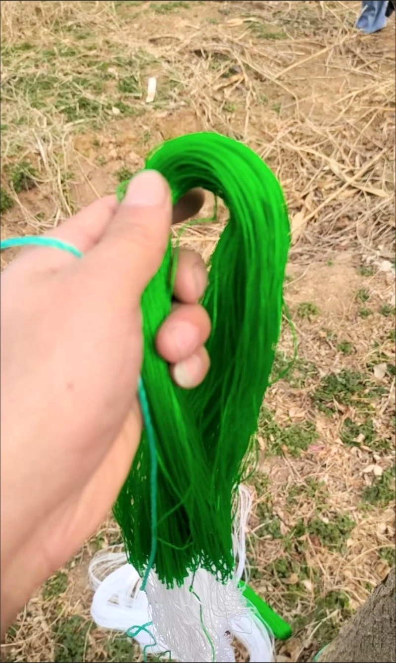 细六股豆角类用网山药网荷兰豆芸豆网爬藤网种植网攀爬网