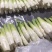 浙江茭白净菜毛菜都有按需求分拣打包可提供各种包装