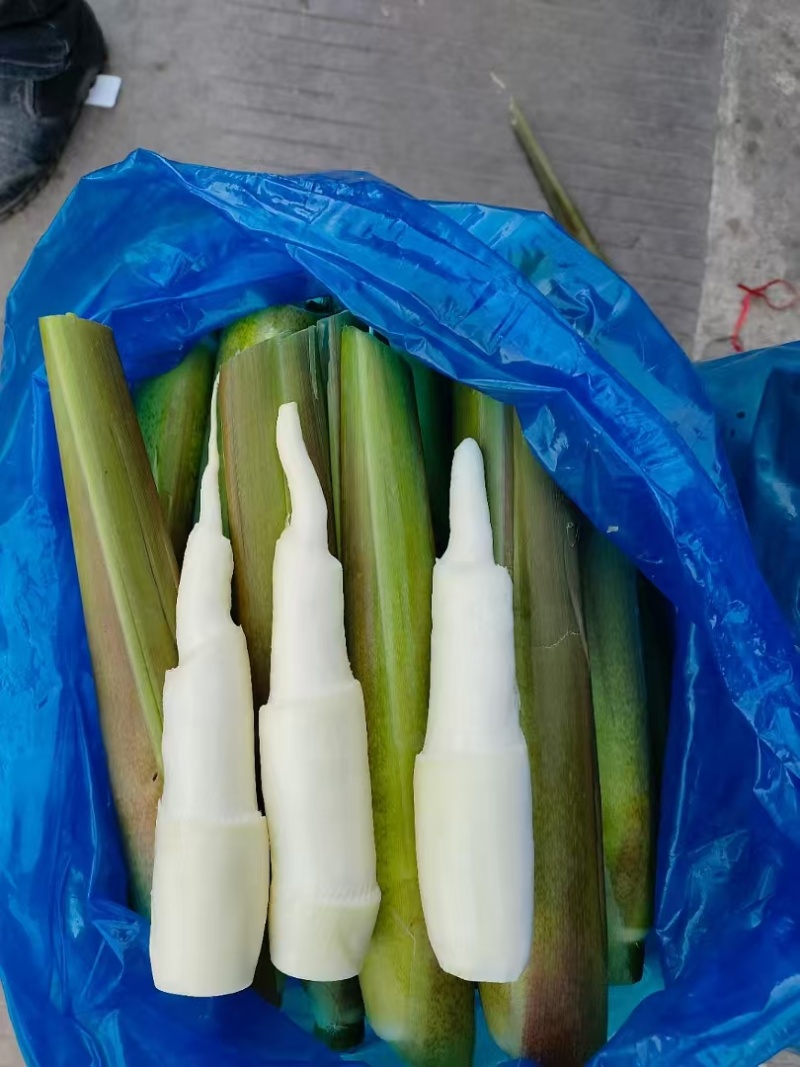 浙江茭白笋常年有货承接加工批发市场餐饮酒店食堂