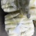 【茭白笋】浙江冷水茭白笋无黑点规格大小都有全国接单