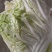 优质大白菜
