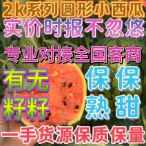 小糖丸西瓜手掰2K2k小吊瓜篮籽牛奶吊瓜山东西瓜