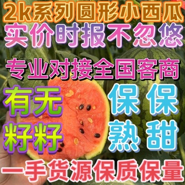小糖丸西瓜手掰2K2k小吊瓜篮籽牛奶吊瓜山东西瓜