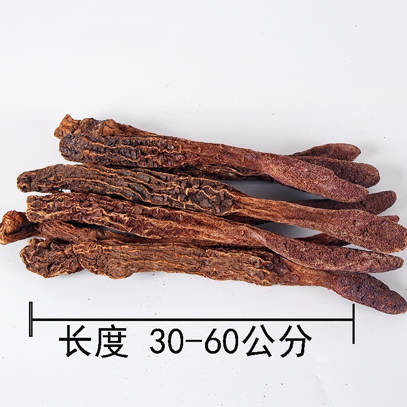 正品金锁阳条整根金锁阳个肉苁蓉正品泡酒整根淫羊藿泡酒料滋